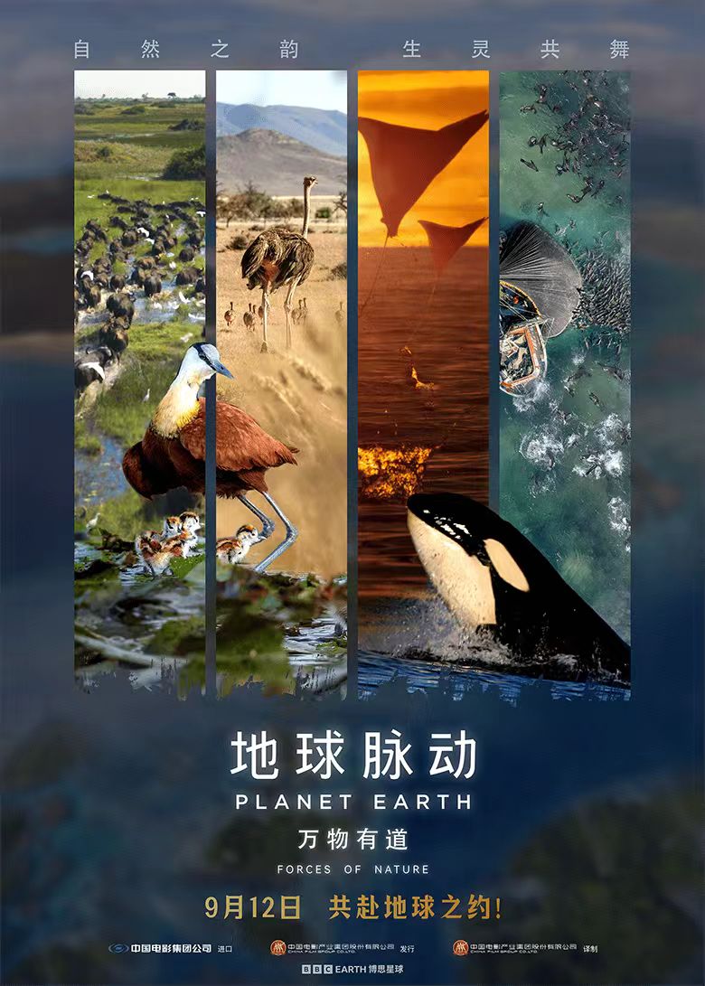 《地球脉动:万物有道》发行通知